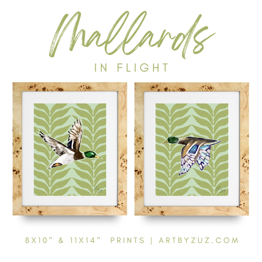 Mallards in Flight Duo
